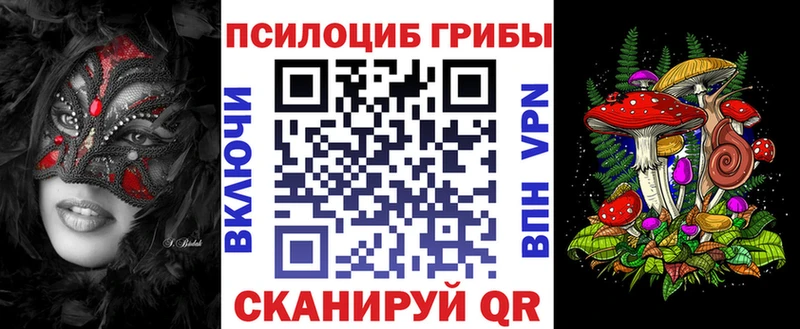 Галлюциногенные грибы Psilocybe  Купить закладки  Кыштым 