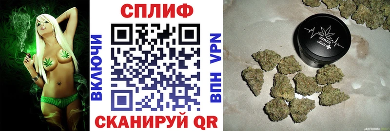 МАРИХУАНА семена  Купить где  Кыштым 